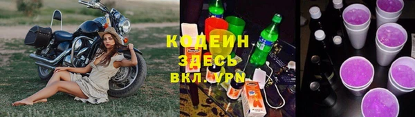 СК Волоколамск