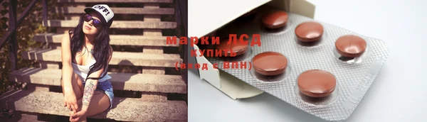 PSILOCYBIN Волосово