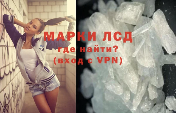 PSILOCYBIN Волосово