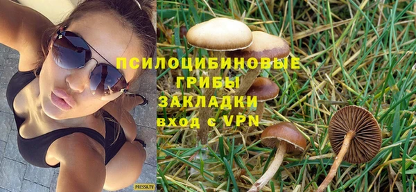 СК Волоколамск